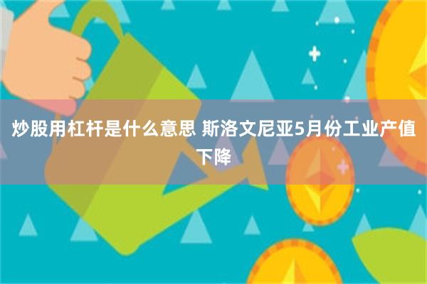 炒股用杠杆是什么意思 斯洛文尼亚5月份工业产值下降