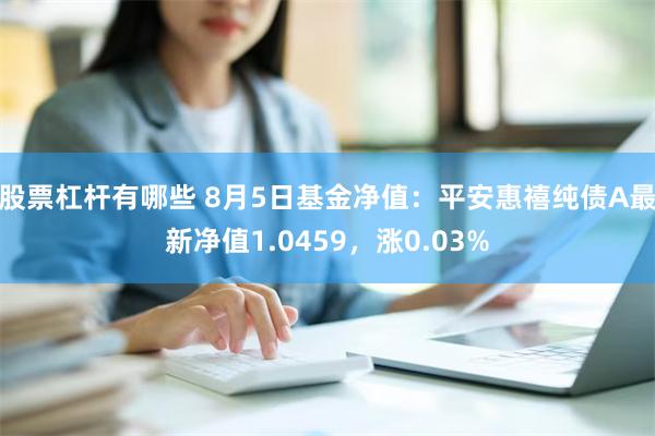 股票杠杆有哪些 8月5日基金净值：平安惠禧纯债A最新净值1.0459，涨0.03%