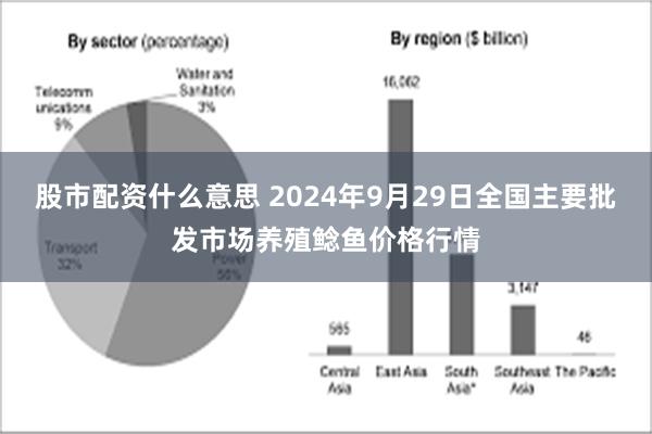 股市配资什么意思 2024年9月29日全国主要批发市场养殖鲶鱼价格行情