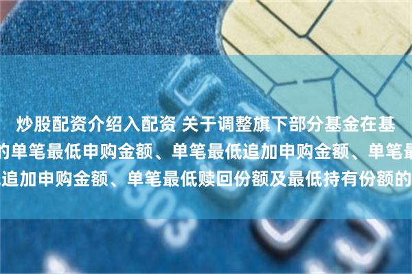 炒股配资介绍入配资 关于调整旗下部分基金在基金销售机构及直销机构的单笔最低申购金额、单笔最低追加申购金额、单笔最低赎回份额及最低持有份额的公告