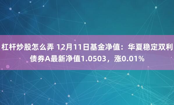 杠杆炒股怎么弄 12月11日基金净值：华夏稳定双利债券A最新净值1.0503，涨0.01%