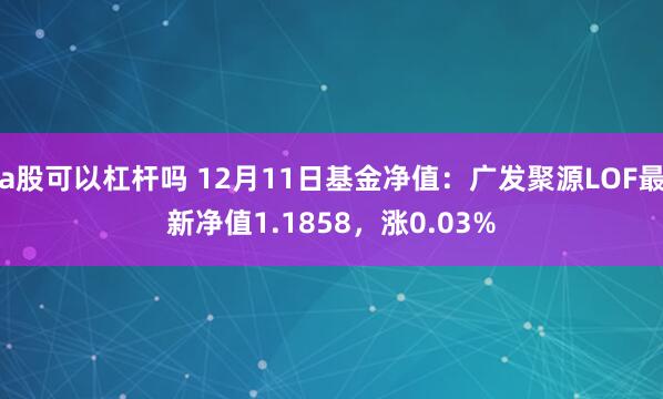 a股可以杠杆吗 12月11日基金净值：广发聚源LOF最新净值1.1858，涨0.03%