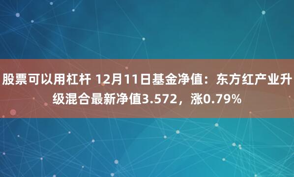 股票可以用杠杆 12月11日基金净值：东方红产业升级混合最新净值3.572，涨0.79%