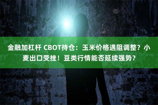 金融加杠杆 CBOT持仓：玉米价格遇阻调整？小麦出口受挫！豆类行情能否延续强势？