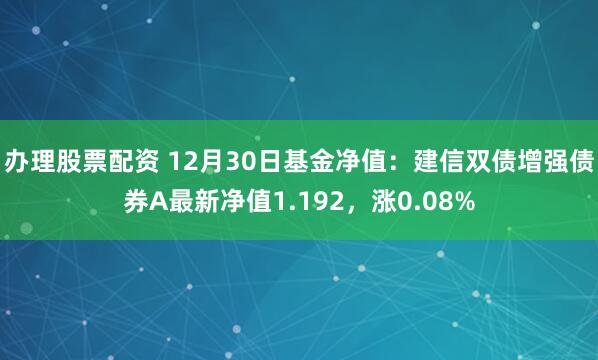 办理股票配资 12月30日基金净值：建信双债增强债券A最新净值1.192，涨0.08%