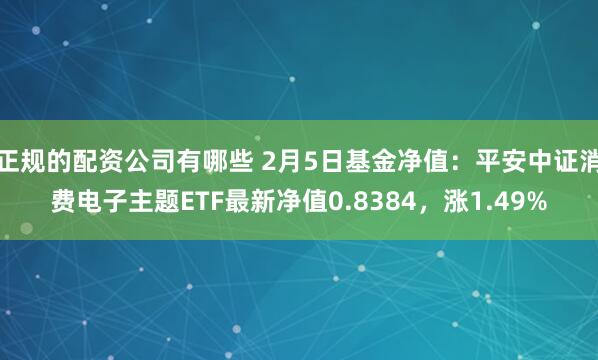 正规的配资公司有哪些 2月5日基金净值：平安中证消费电子主题ETF最新净值0.8384，涨1.49%