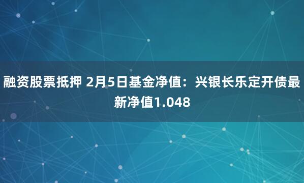 融资股票抵押 2月5日基金净值：兴银长乐定开债最新净值1.048